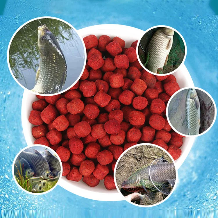 Appâts Parfumés Universels pour Pêche