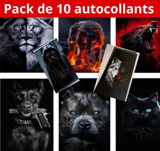 10 Autocollants Voiture Stylés et Durables