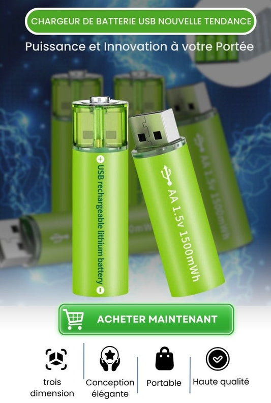 Batteries Rechargeables AA USB Éco